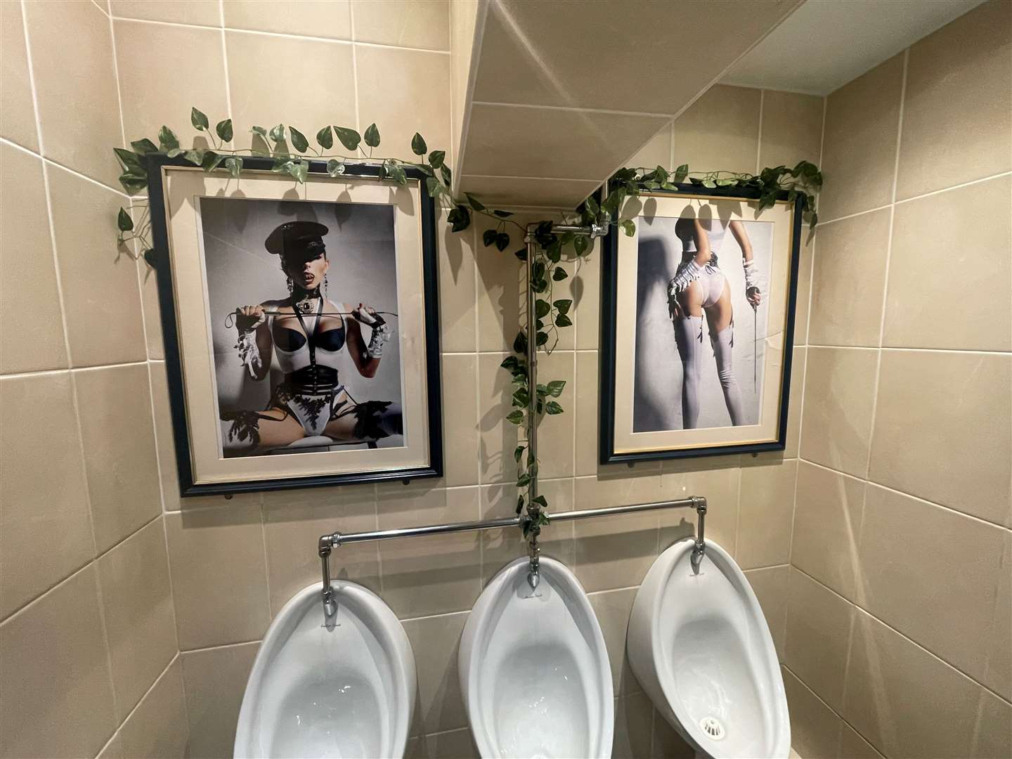 The artwork in the gents wasn't what I was expecting