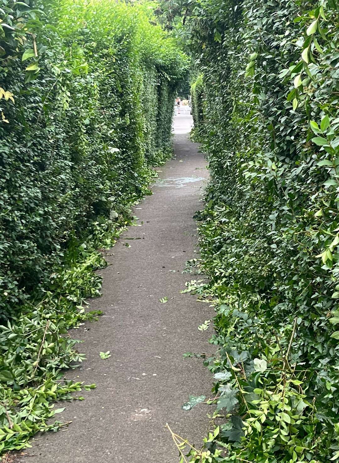 How the alley looks after the cut.