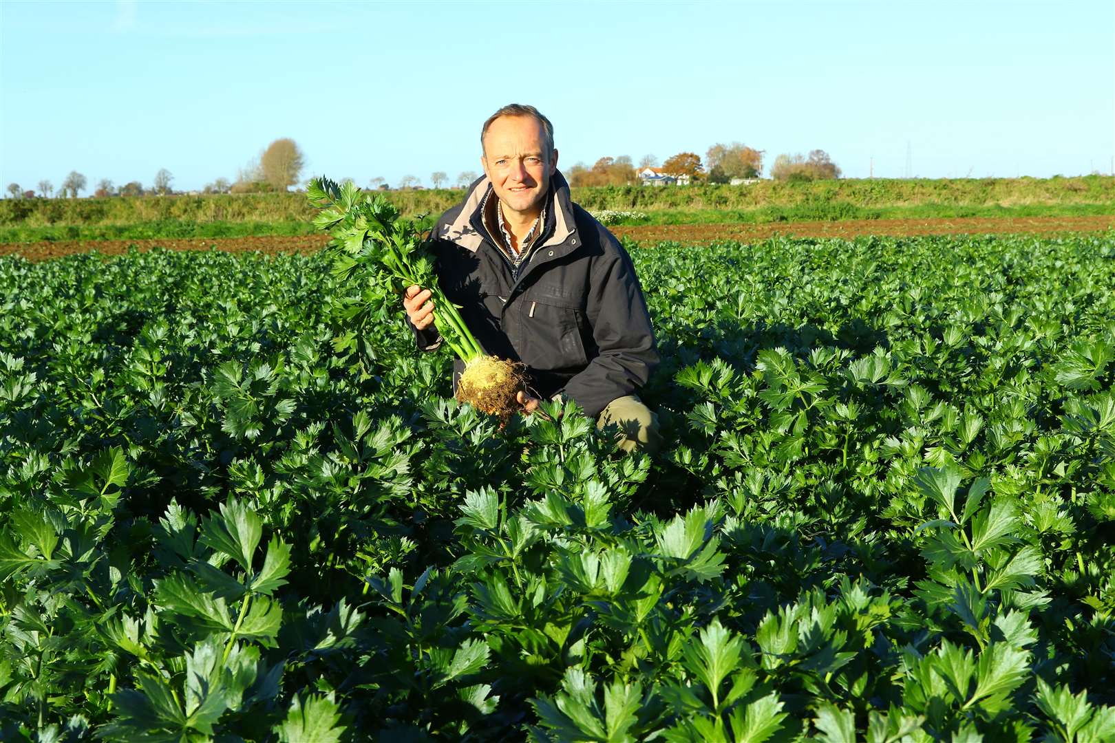 Jack Buck Farms managing director Julian Perowne Photo: Jack Buck Growers