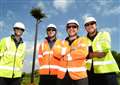 Electricity workers build new osprey tower in Burghley Park