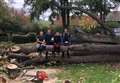 Tree surgeons retain regional award