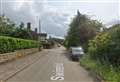 Fallen tree causes village road closure