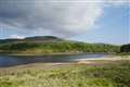 Interim water review ‘not the finishing line’ to fix failures, campaigners warn