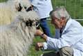 Record numbers at rural show