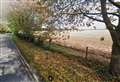 Previously refused development is given go ahead