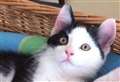 Family heartbroken over Cookie's death