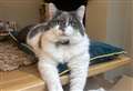 Have you seen Roxy?