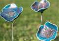 Chance to bid for unique poppies 