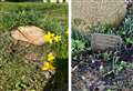 ‘I couldn’t believe the tree and plaque had gone, it feels like I’ve lost my parents all over again’