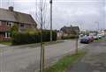 Call for newly planted saplings to be pulled up