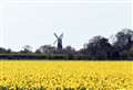 Volunteers over the moon to receive grants for iconic windmill