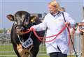 Your chance to win county show tickets