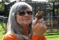 Bills double for animal refuge as owners fear for future