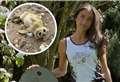 Seal rescuer Eden is on a mission