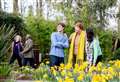 Gardens crafted by Chelsea Flower Show winner celebrate latest award
