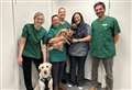 Vet practice opens in town