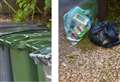 Council delays decision on future of bin services