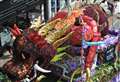 Manic 24-hour turnaround by volunteers to replace ‘battered and fried’ tulips for parade