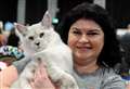 Organisers describe successful cat show as ‘chaotic and mad’