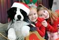 Dog lovers have a paw-some time