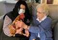 Dementia is on the rise and here’s how animals are being used to help