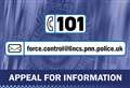 Driver seriously injured in accident
