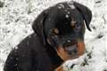 Five days of snow, ice and freezing conditions on the way