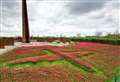 20,000 ceramic poppies unveiled at International Bomber Command Centre to mark VE Day