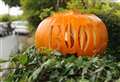 9 easy ways to make your pumpkin last longer 