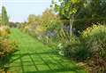Garden open to the public next week 