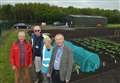 Allotment demand soars during lockdown