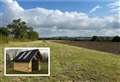 Vineyard owners want to open an exercise field for dogs