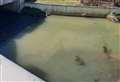 River turns different colour for second time in a week