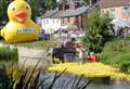 Keep an eye out for Lucky duck