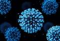 Would you have a Covid-19 vaccination?