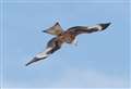 'Our doorstep is a paradise for naturalists where you can see all manner of wildlife' 