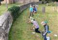 Churchyard to grow wild to boost wildlife and protect environment 