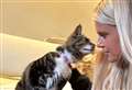 Catsitter Lydia is the best in the business