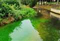Concerns raised over green residue in River Witham at Wyndham Park 