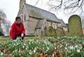 Visitors flock to see beautiful snowdrops