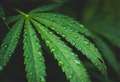 Man who turned to cannabis for ‘comfort’ is disqualified after drug-driving