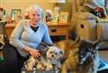 Dog rescue volunteers to hold Christmas table top sale