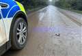 Warning to motorists