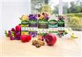 Five readers can win a year’s supply of Zoflora! 