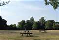 Help shape the future of popular park