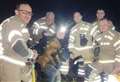 Terrified terrier rescued from a hole by firefighters