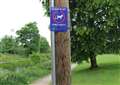 Grantham Clean and Green: Clean up after your dog or face a £75 fine
