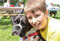 Boxer was Britain's top dog choice in 2021 according to new data 