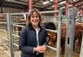 ‘A lot of people in the rural economy feel very worried and despondent after some of the dreadful policies announced by the city-dwelling government’