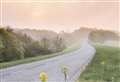 Roadside boost for Rutland wildlife 